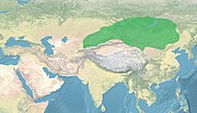 Thumbnail for Second Turkic Khaganate