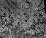 Inverted Stream Channels in Antoniadi Crater, as seen by HiRISE