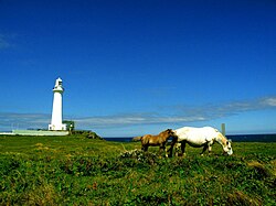 Shiriyazaki Lighthouse & Kandachime horses