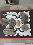 Debalgarh museum - some of the items belong to the Sena period