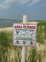 Area closed within Cape Henlopen State Park, Delaware, where piping plovers are known to nest