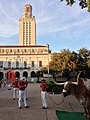 Bevo XIV at the Tower