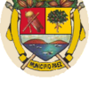 Official seal of Páez Municipality