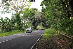 Simuay-Parang-Landasan Road