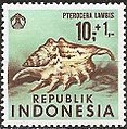 Lambis lambis on a 1969 Indonesia postage stamp