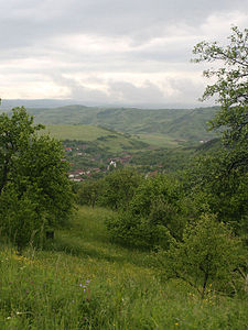 View of Nicula from Nicula Monastery