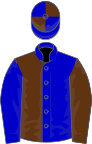 Blue and brown (halved), reversed sleeves, quartered cap