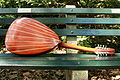 Redhead Mandocello by Nevin Fahs (luthier) - 3. back