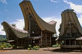 Tongkonan houses of the Toraja people, with the distinctive saddleback roofs reminiscent of boats[182]