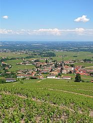 A general view of Fleurie