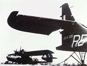 Black-painted military amphibious aircraft in background, with tail assembly of similar aircraft in right foreground