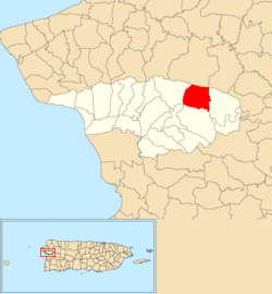 Location of Cerro Gordo within the municipality of Añasco shown in red