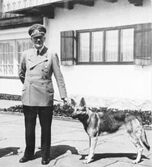 A full-length portrait of man in military uniform holding a dog on a leash