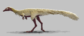 Erythrovenator jacuiensis