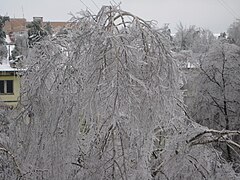 Aftermath of freezing rain in Moscow Oblast, Russia, December 2010