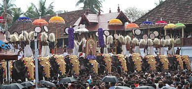Caparisoned elephants during the festival