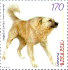On a 1999 Armenian stamp[4]