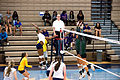The volleyball team in action against the Texas A&M–Commerce Lions in 2014