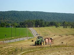 Making hay in Buck Valley