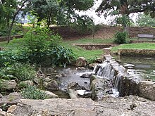 Picture of small water fall at Walnut Springs Park, Seguin Texas.