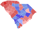 2010 South Carolina Attorney General election