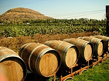 Six outdoor barrels against a background of vineyards and a hill