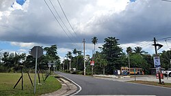 Puerto Rico Highway 414 in Guayabo