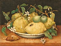 Giovanna Garzoni (1600–1670), Still Life with Bowl of Citrons (1640), tempera on vellum, Getty Museum, Pacific Palisades, Los Angeles, California