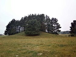 Svobiškėlis mound