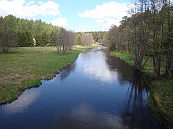 River Wda in Błędno