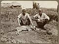 Images from The British-led Sleeping Sickness Commission collecting tsetse flies, Uganda and Nyasaland, 1908–1913