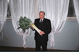 Professor Vladimir Zuev displays a new daikon variety Kuz hadyasi in Uzbekistan