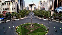 A sick palm tree stands in the middle of a traffic circle