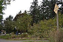 Masonic Cemetery and Hope Abbey Mausoleum in Eugene, Oregon, behind a dead end sign