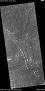 HiRISE image of channelized lava flow with levees on Northern flank of Ascraeus Mons.