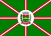 Flag of Centenário do Sul