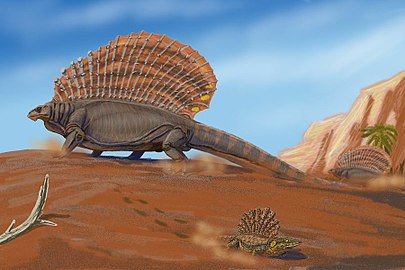 Platyhystrix (small, foreground) and Edaphosaurus from Early Permian Texas