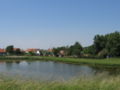 View on Ellewoutsdijk