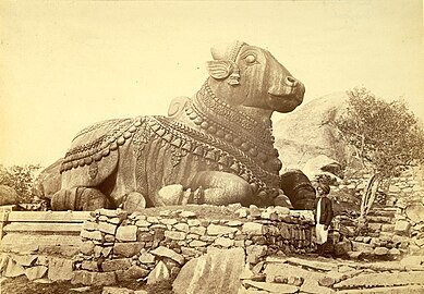 An 1872 image of the temple's granite sculpture of Nandi bull.