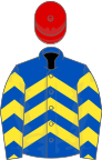 ROYAL BLUE and YELLOW CHEVRONS, red cap