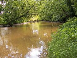 The Lake Fork of the Mohican River
