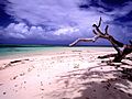 Image 6Beach scenery at Laura, Majuro, Marshall Islands (from Micronesia)