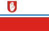 Flag of Brodnica