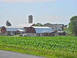 Farm near the township office