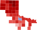 2006 TX-13 election