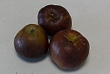 3 apples of the Api Noir cultivar