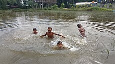 Kids swimming in a lake.