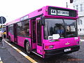 MAZ-103 city bus (pink) in Constanța, Romania