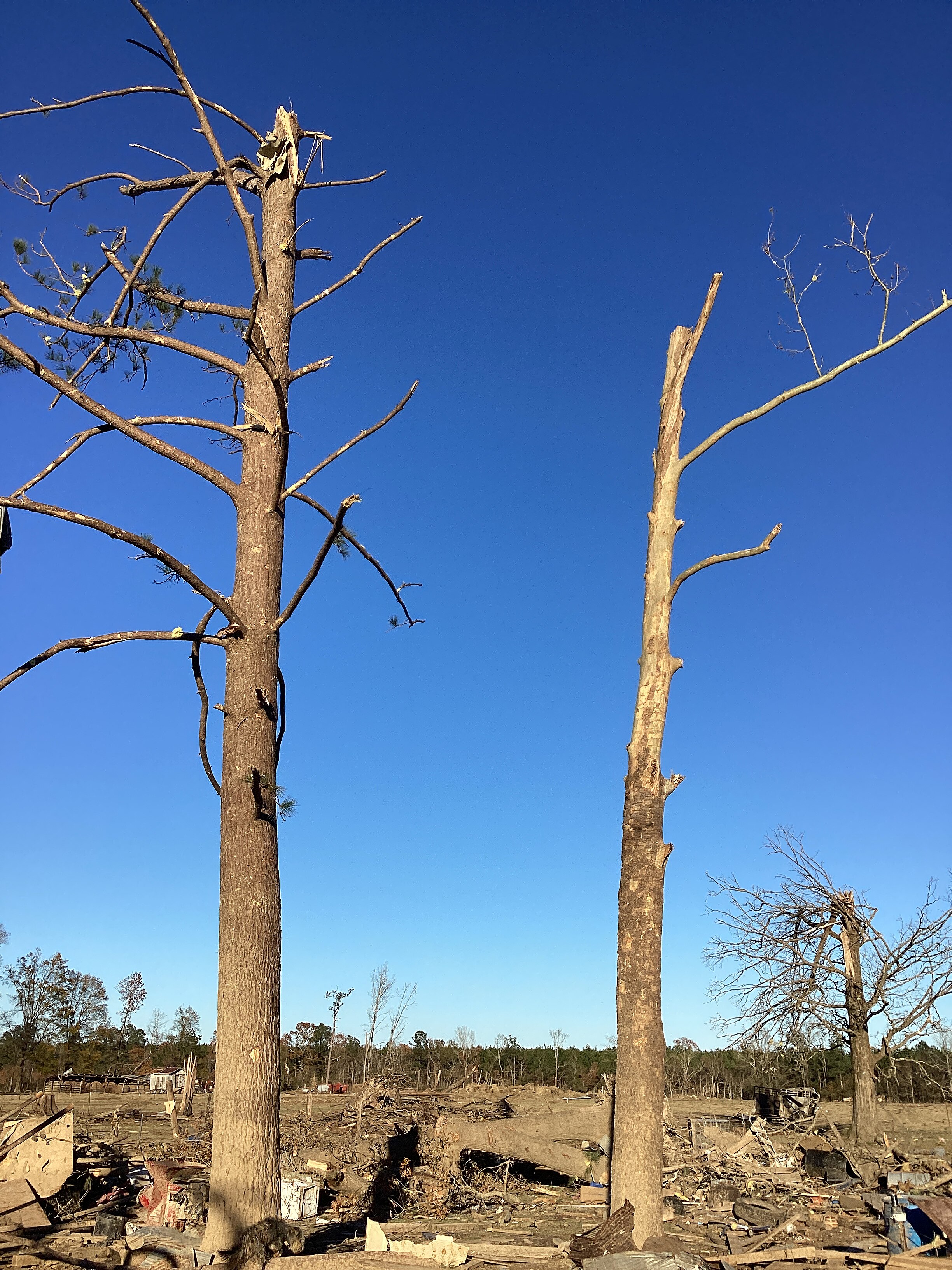 Low-end EF3 damage to trees southeast of Clarks, Louisiana.