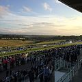 Image 73Epsom Downs, a racecourse which hosts The Derby annually. One of four in the county. (from Portal:Surrey/Selected pictures)
